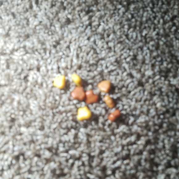 Fureal Friends pooping dog - Picture 7 of 8